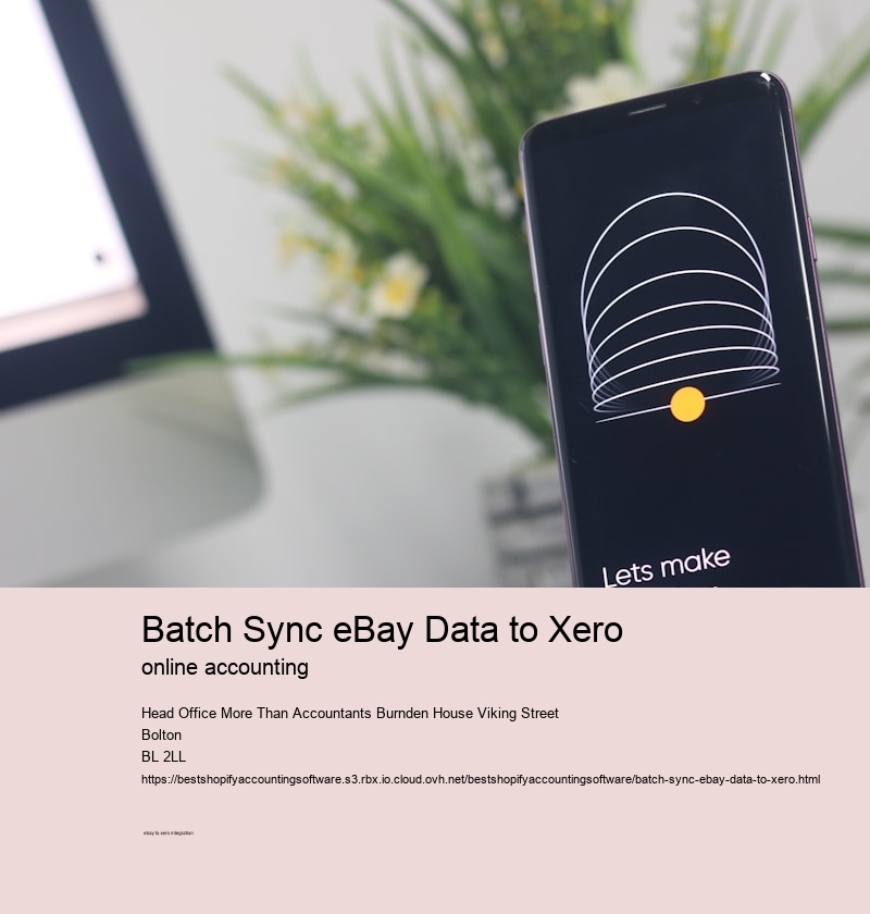 Batch Sync eBay Data to Xero