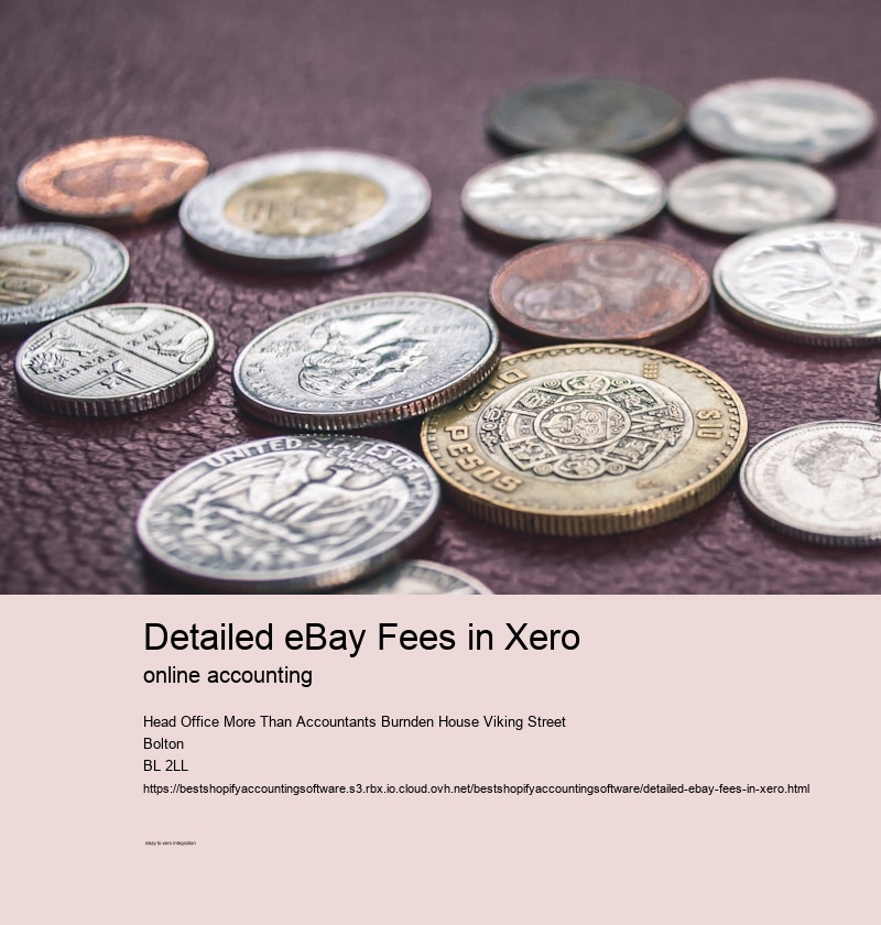 Detailed eBay Fees in Xero