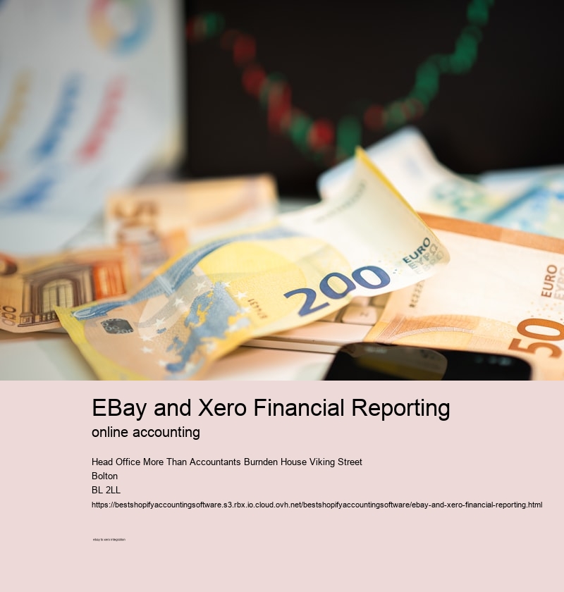 eBay and Xero Financial Reporting