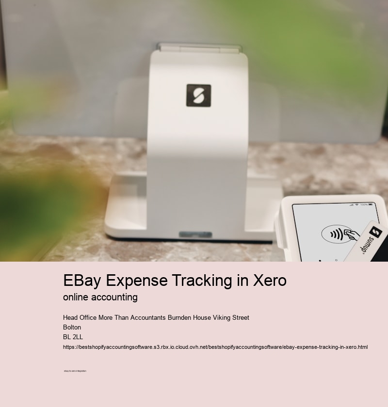 eBay Expense Tracking in Xero