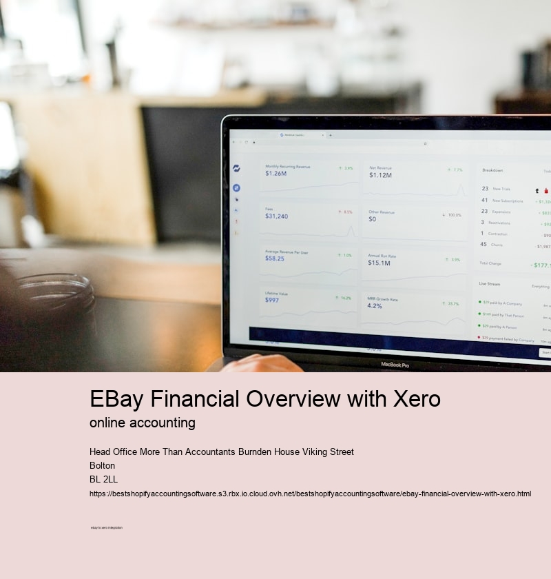 eBay Financial Overview with Xero