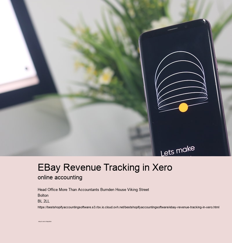 eBay Revenue Tracking in Xero